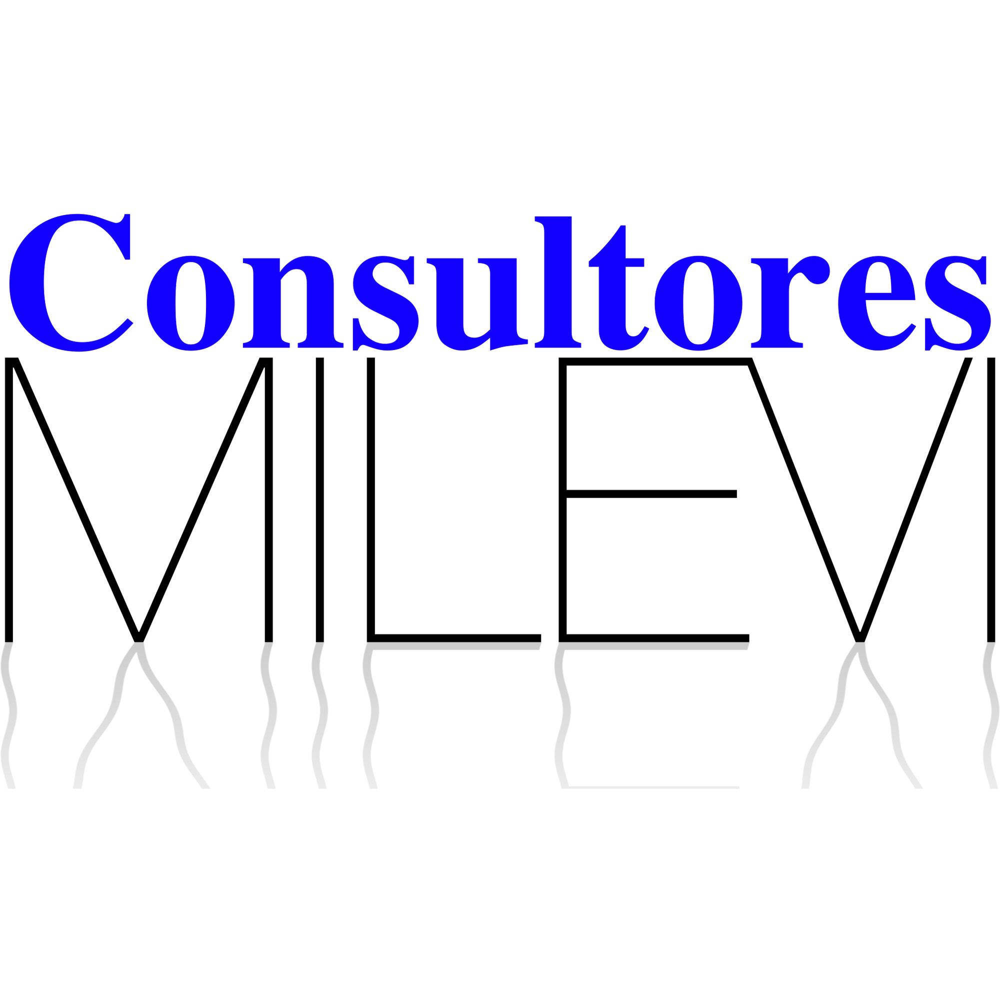 Consultores Milevi